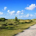 Vogelkieker