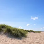 Vogelkieker *